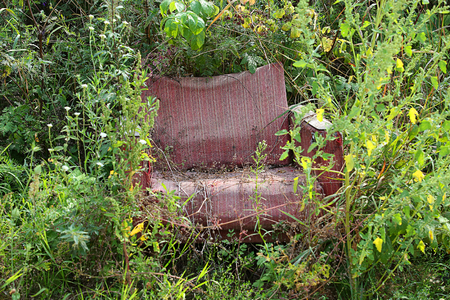 thrown red chair in the grassの写真素材