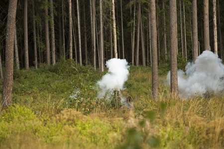 training explosions at the military exercises in the forestの写真素材