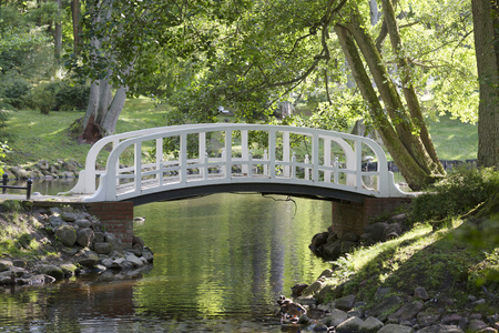 Wooden bridge ober river in the parkの写真素材