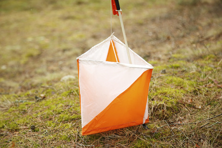 Closeup of Orienteering marker in the forestの写真素材