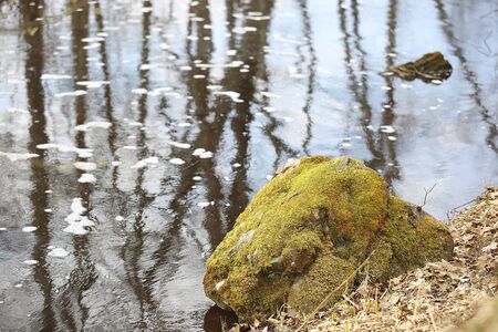 stone covered with moss near the water in Europe