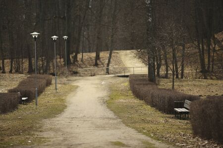 view of the park with a bench at early spring timeの写真素材