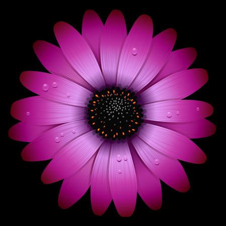 flower illustrationのイラスト素材