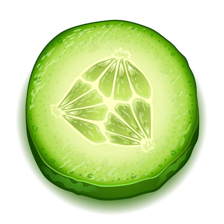 Fresh cucumber slice isolated on white backgroundのイラスト素材