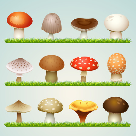 mushrooms on grassのイラスト素材