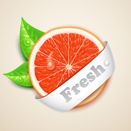 fresh grapefruitのイラスト素材