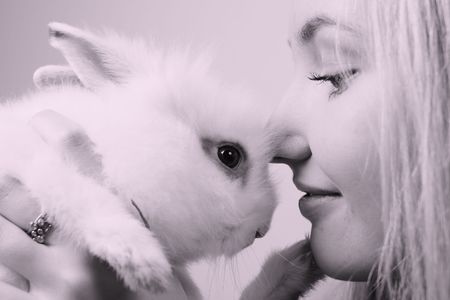 Beautiful young girl and rabbit in studioの写真素材