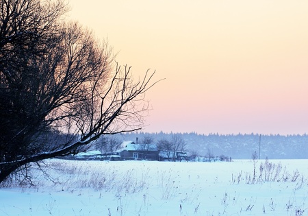 Winter landscape and treesの写真素材