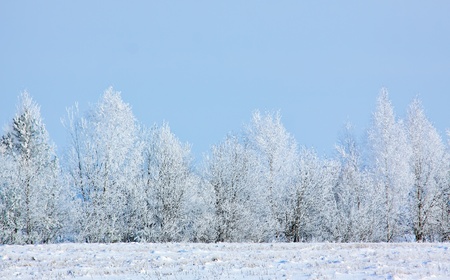Winter landscape near villageの写真素材