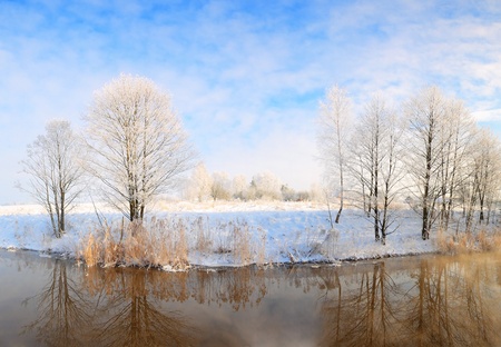 River and trees, winter panorama