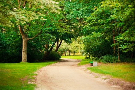 The road to parkの写真素材