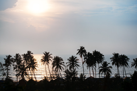 Silhouette of palm trees in a beach scene with ocean and clouds gathering during sunset at Goa, Indiaの写真素材