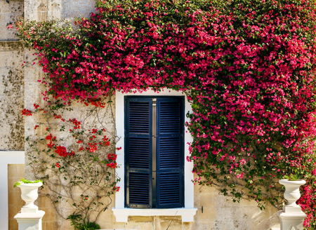 Old windows doors and balconies on Maltaの写真素材