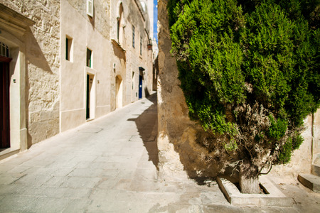 Narrow street in Mdina, Malta.の写真素材