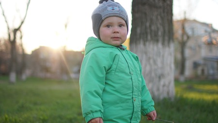 Little boy on the green autumn lawn with toys in his handの写真素材
