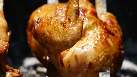 Picnic with cooking hens on the sticks outdoors in green bushesの写真素材