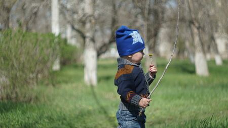 Cute funny child standing with stick and dandelion on the lawn in the parkの写真素材