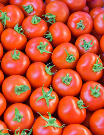 tomatoesの写真素材