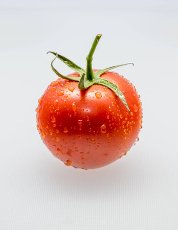 Tomato wateredの写真素材