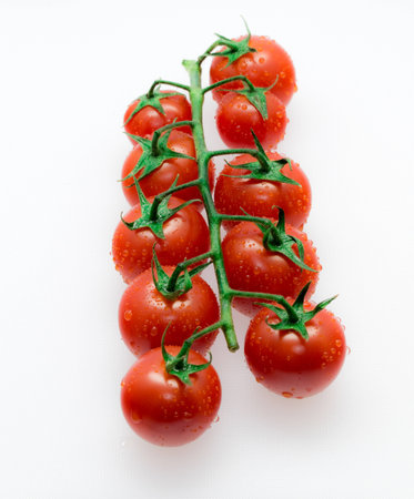 Cherry tomato branch isolatedの写真素材