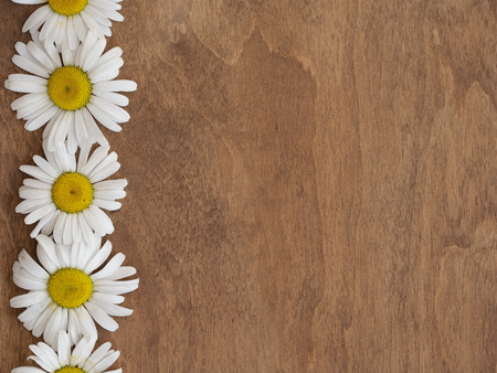 Daisies on wooden backgroundの写真素材