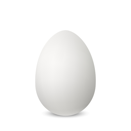 White single realistic vector animal egg. Chicken egg isolated with soft shadows on white background. Template for Easter holiday 3D illustration.のイラスト素材