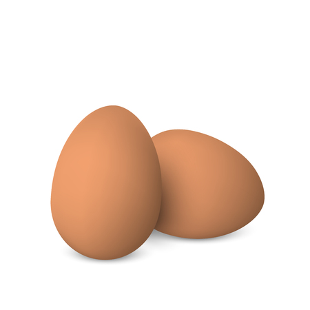 Vector brown realistic eggs. Two chicken eggs isolated with soft shadows on white background. 3D illustrationのイラスト素材