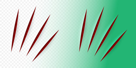Vector realistic cut with an office knife on paper sheet isolated. Animal claws scratches on transparent background.のイラスト素材