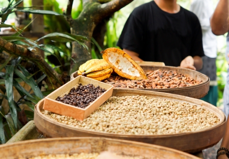 Street vendor selling a variety of dried legumes and vegetables laid out in round flat baskets on a tableの写真素材