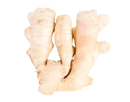 A section of the pungent aromatic rhizome of fresh root ginger used as a seasoning and spice in...