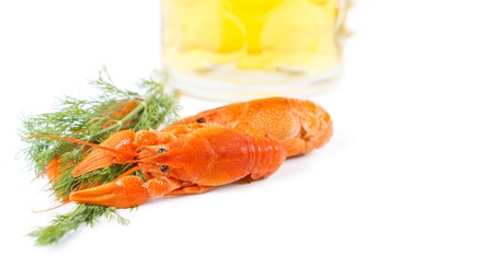 Delicious cooked prawns with large pincers together with a sprig of fresh dill on a white backgroundの写真素材