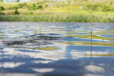 Calm water with ripples outdoors at daytime