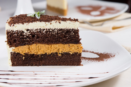 Close up of a large slice of freshly baked layered chocolate cream cake topped with cocoa powder...