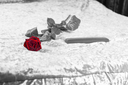 Romantic red rose and gift lying on a bed in a greyscale image with selective color to the rose symbolising love for Valentines Dayの写真素材