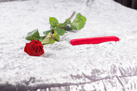 Special romantic Valentines gift of a single long-stemmed red rose and gift-wrapped red present lying on the bed on the white bedspreadの写真素材
