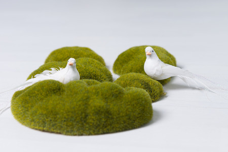 Two white doves symbolising peace, harmony and hope in a decorative display on green moss covered rocks over a white backgroundの写真素材