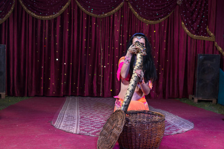 Exotic Dark Haired Snake Charmer Removing Large Snake from Basket While Kneeling on Stage with Red Curtain in Backgroundの写真素材