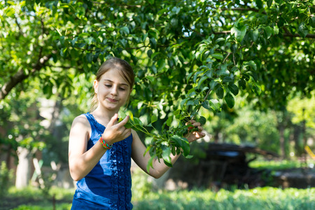 Smiling Young Girl Wearing Blue Tank Top Inspecting Leaves on Lush Green Tree Branch Outdoors in Summerの写真素材