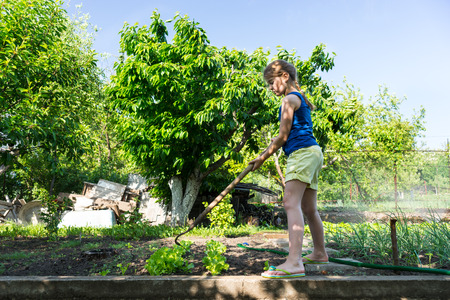 Young girl standing weeding with a hoe in a neatly laid out vegetable garden in a backyard or on a...