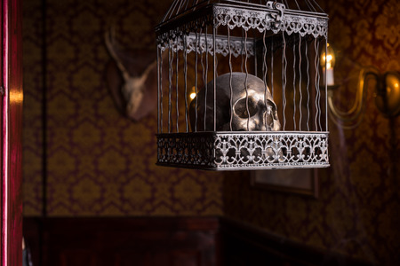 Close Up of Shiny Gothic Skull Imprisoned in Ornate Metal Cage Inside Eerie Room with Patterned Wallpaper and Lit by Burning Candlesの写真素材