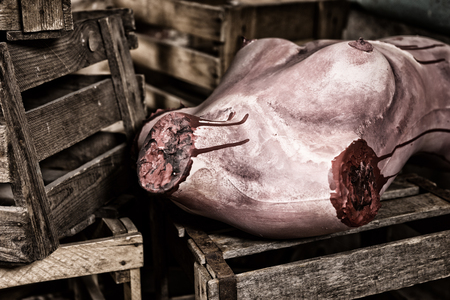 Dismembered bloody torso of a dead woman discarded amongst wooden packing crates in a Halloween horror conceptの写真素材