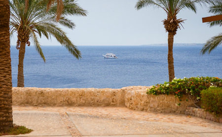 Stone footpath with palm trees, bushes and flowers opposite the sea with a floating luxury yacht