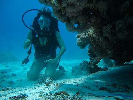 Young woman on the seafloor trying to pat a small slope while diving with scubaの写真素材