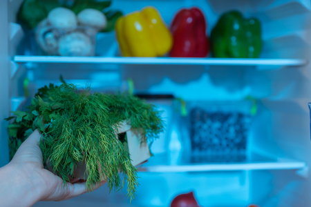 Person taking basket with fresh dill from open refrigeratorの写真素材