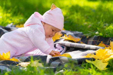 Cute little baby girl playing in an autumn park crawling on a rug in the grass touching colorful yellow leaves and fresh applesの写真素材