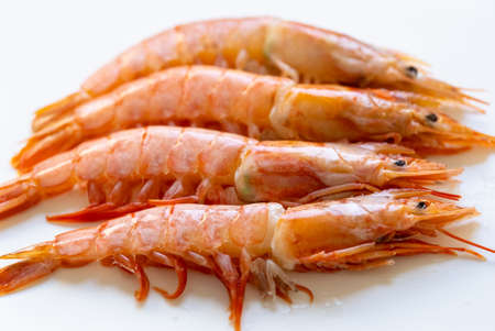 Single fresh, cooked pink prawn on its side on white with focus to the legs in close up in a panorama bannerの写真素材
