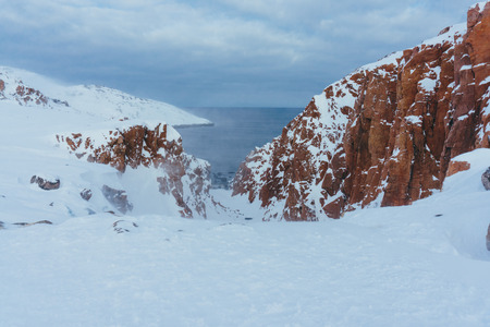 High cliff of red color on the shore of the Arctic Ocean under snow in a blizzard and very coldの写真素材