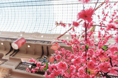 Beautiful pink sakura in a large shopping center with a glass roof pleases the eye of buyersの写真素材