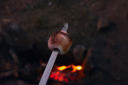 preparation of very tasty sweet dessert of marshmallow on fire of a fire during a rest on a hike in...