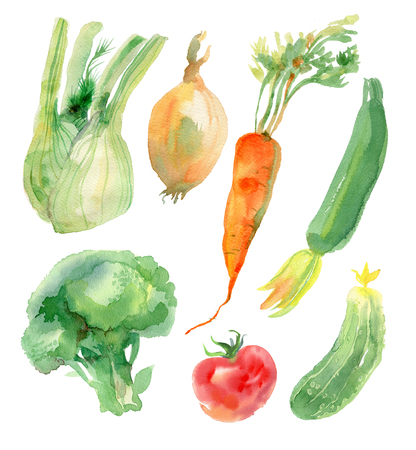 Watercolor vegetables set with carrot and fennel, tomato and broccoli, onion and squash, cucumberの写真素材